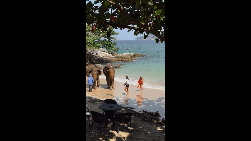 Фотограф Юлия Сомова