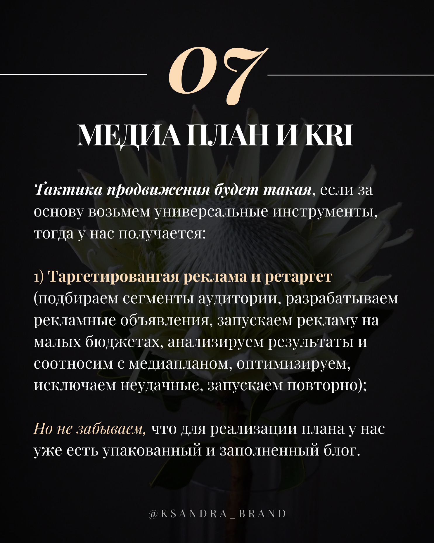 Практическое руководство: «Создание стратегии продвижения в соцсетях на 2025 год
