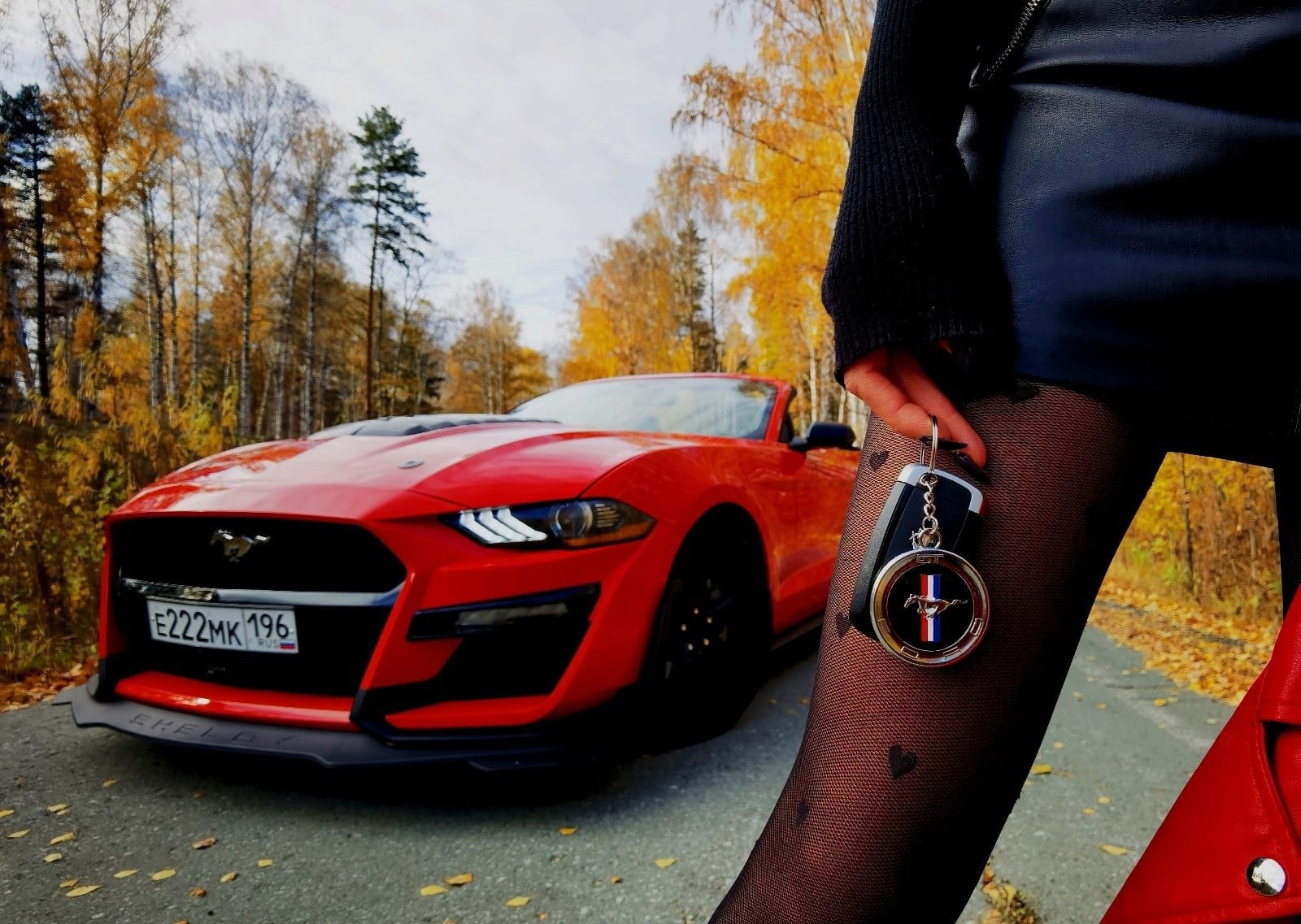 Фото автобиля в лесу