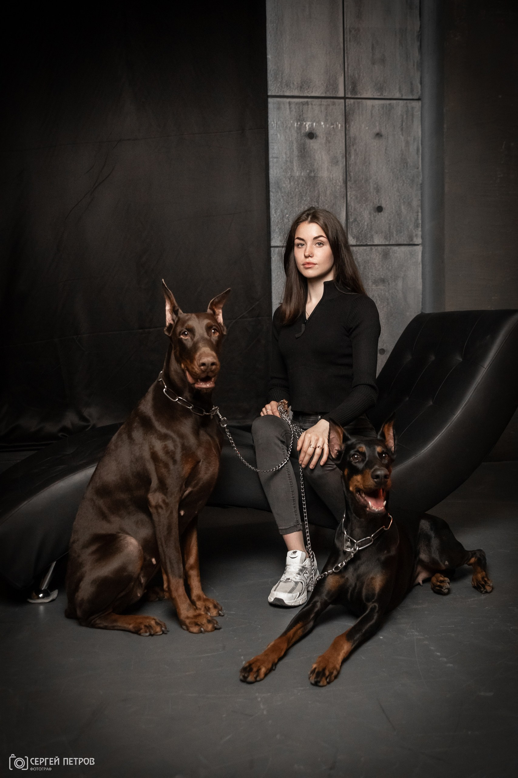 Фотосессия с доберманами в студии на час