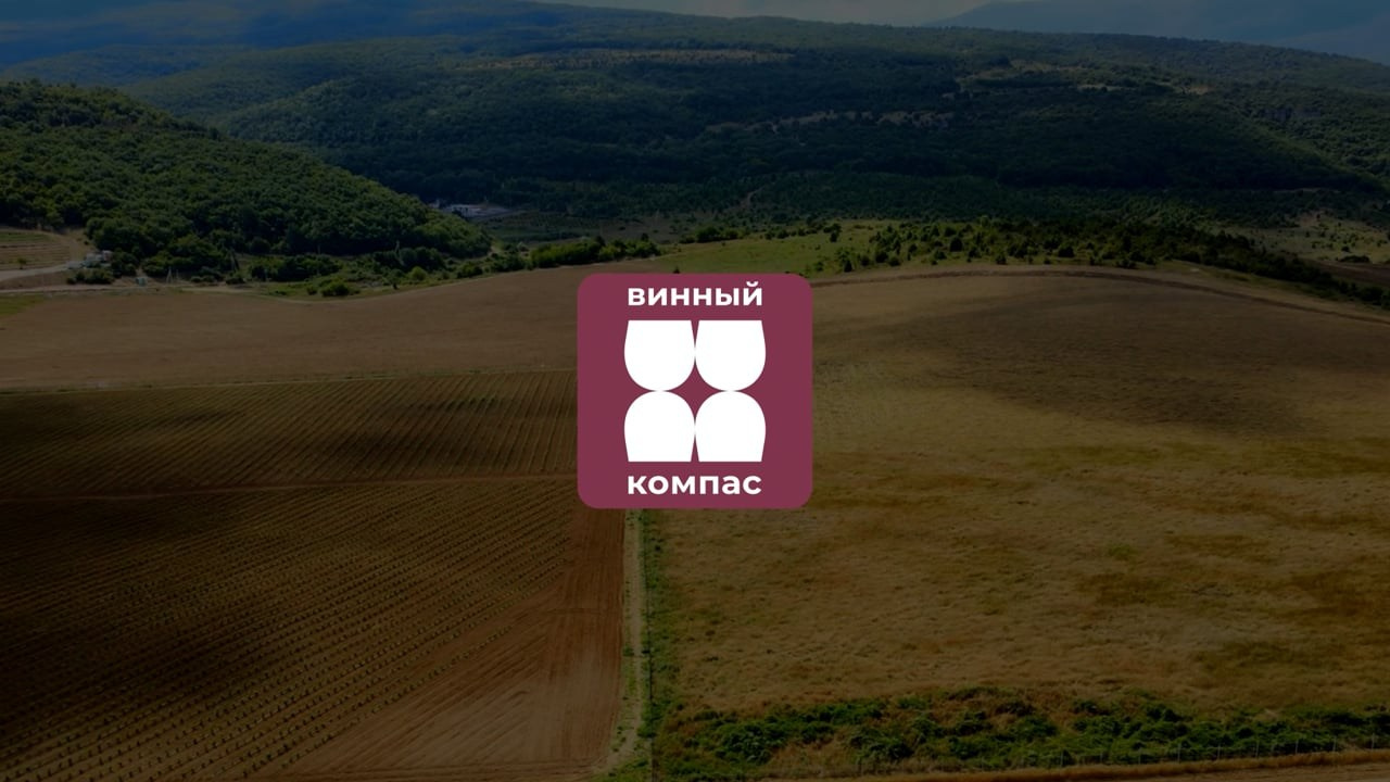 ГРАФИКА И АНИМАЦИЯ. VLADIMIR LEE VIDEO PRODUCTION — Видеограф в Самара, Москва, Россия