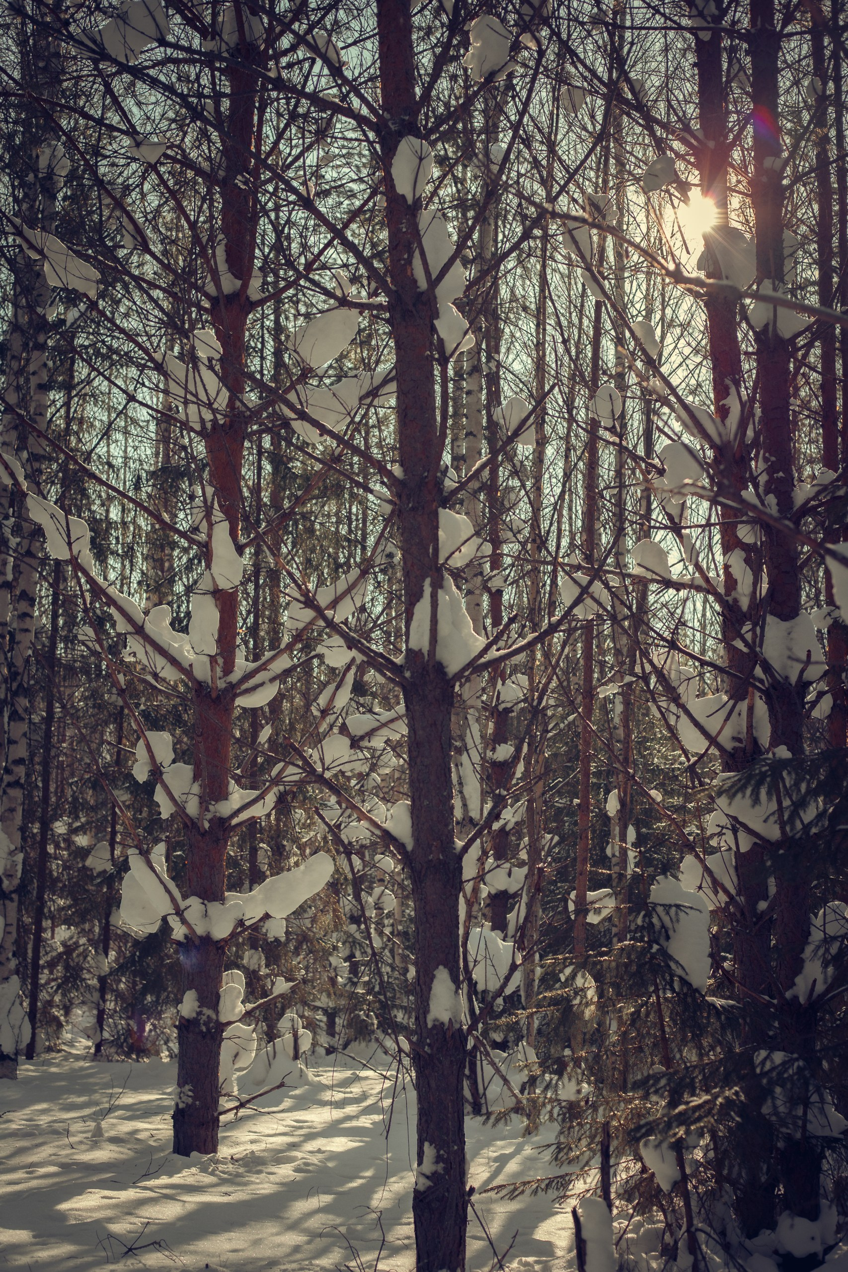 Живите настоящим!. Семейный и детский фотограф в Перми Юдинцева Юлия