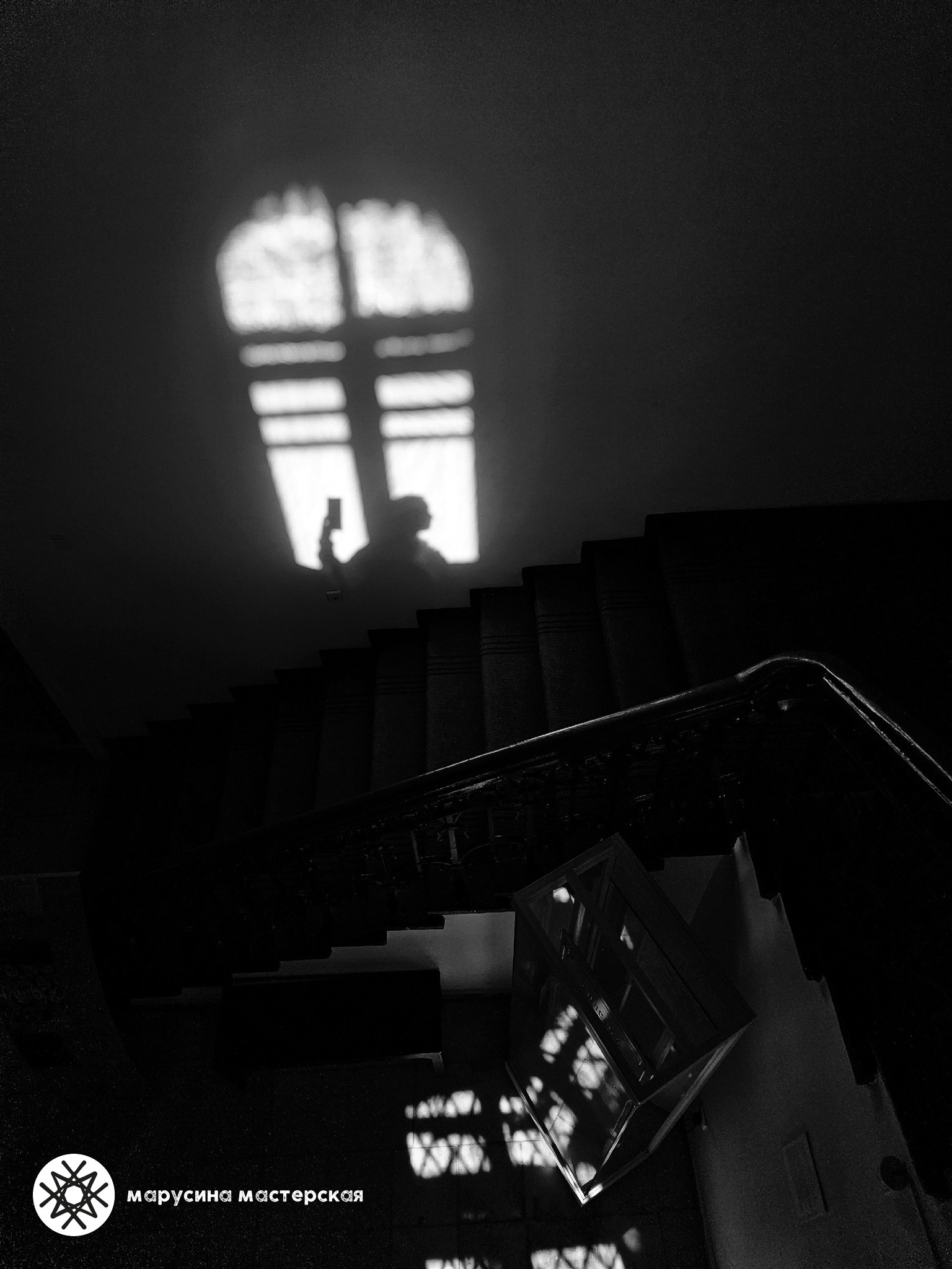 Светлана Басова