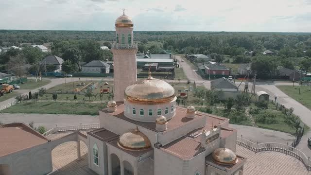 Профессиональный фотограф и видеооператор