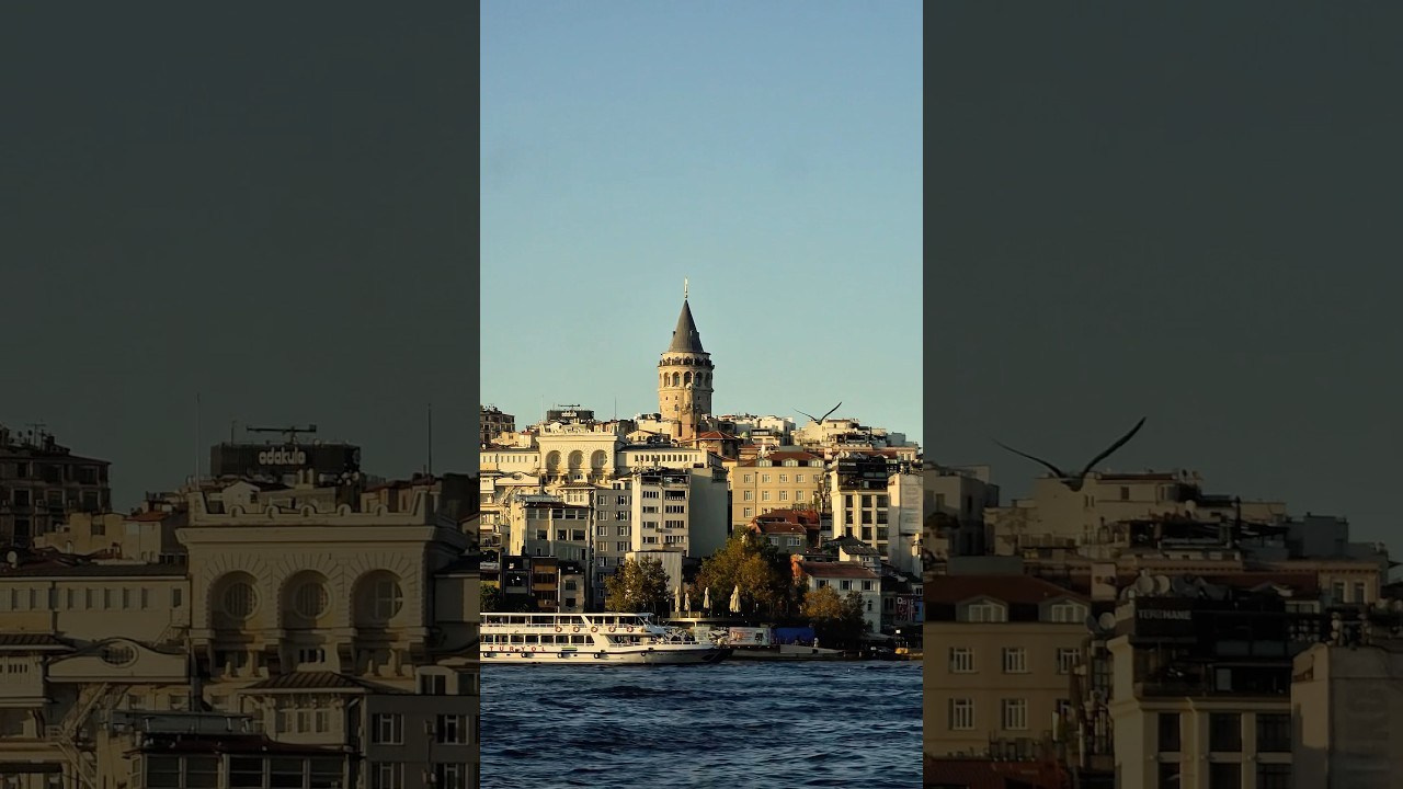 Film. Фотограф и видеограф Елена Хмелевская