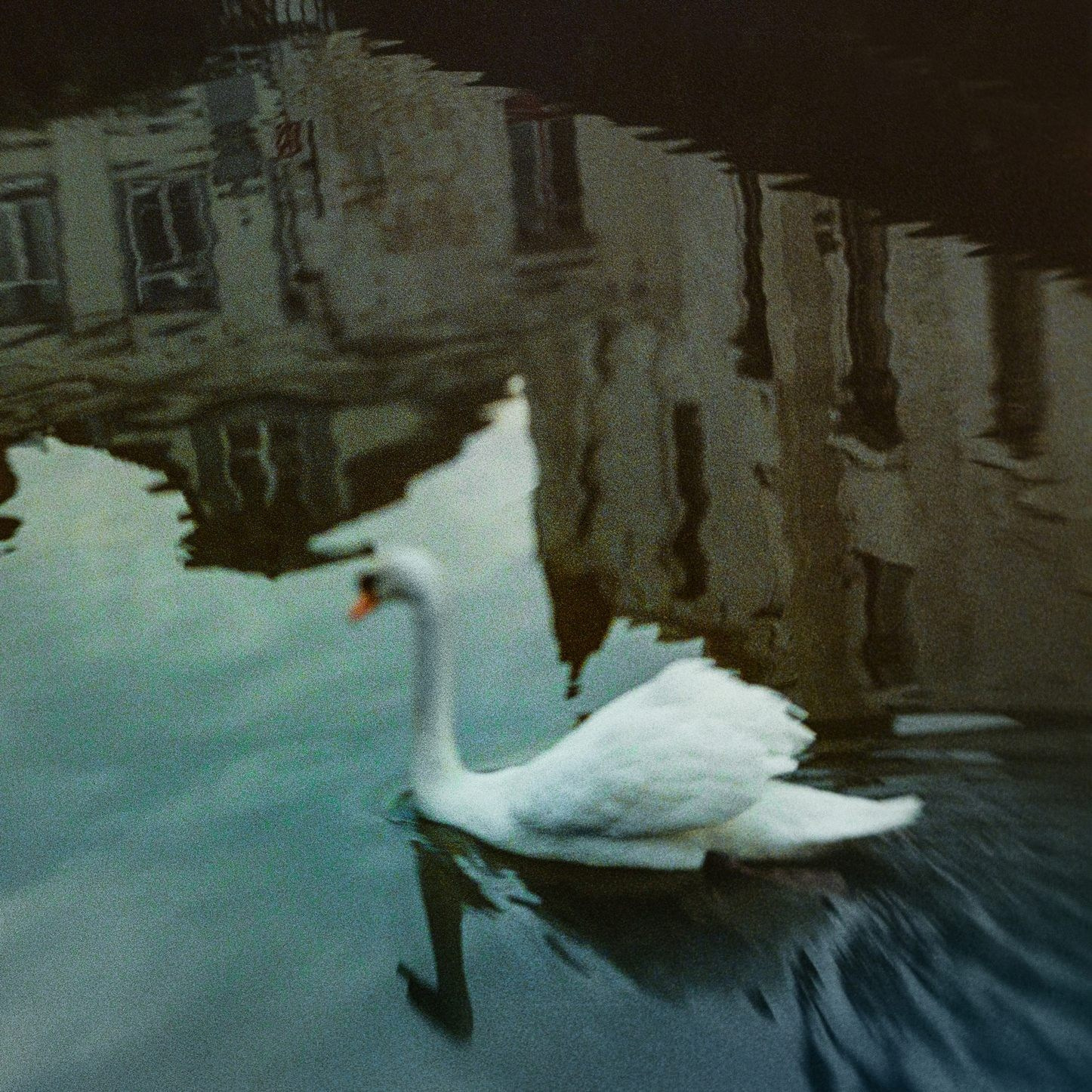 BRUGGE. Eduard Kopysov — International visual artist