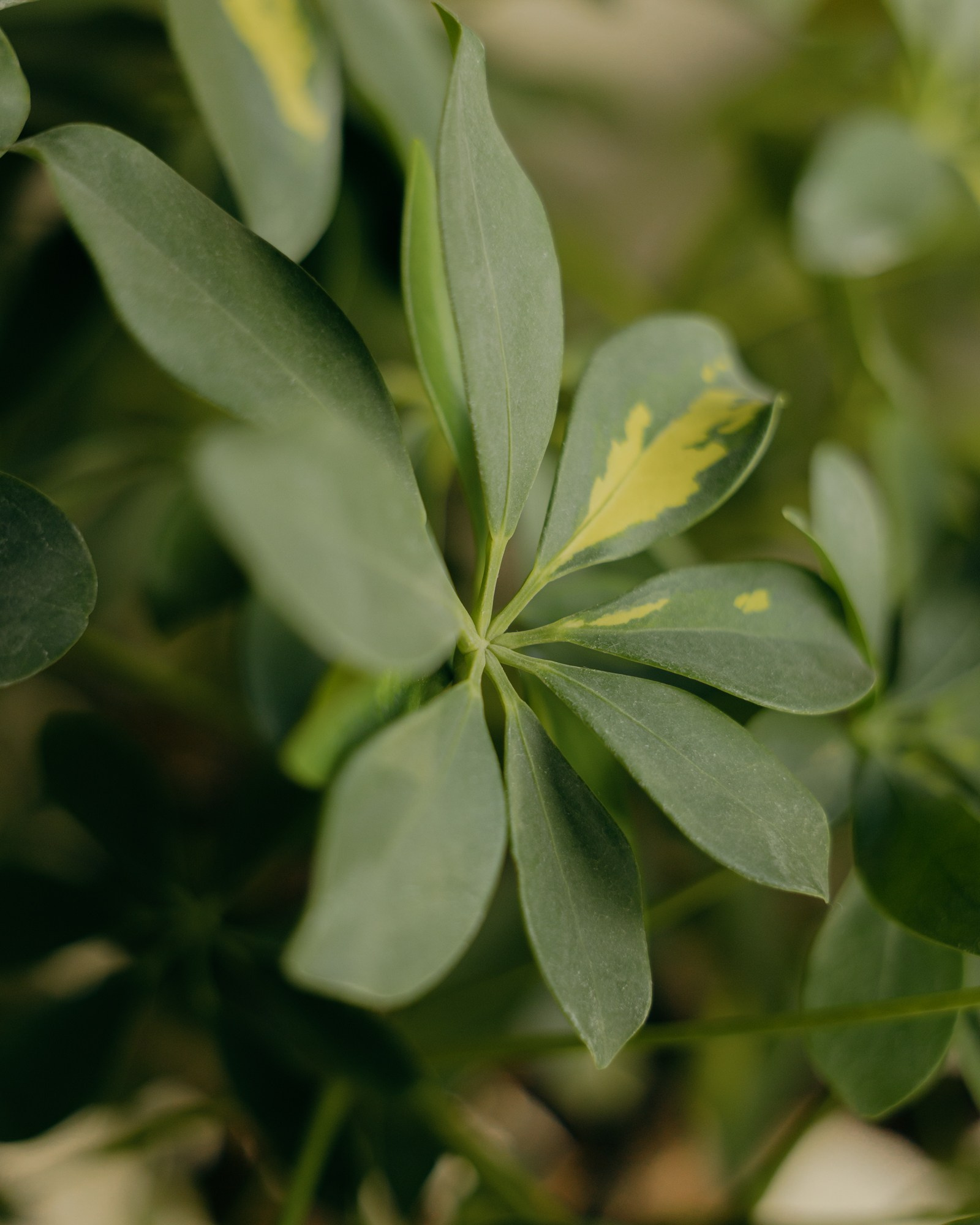 “More” Restaurant. Фотограф Павел Краснов