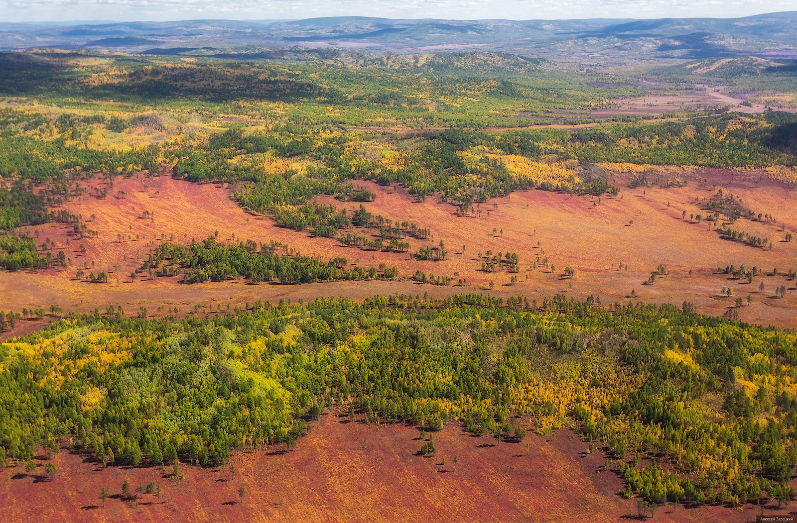 Фотограф Алексей Зарецкий