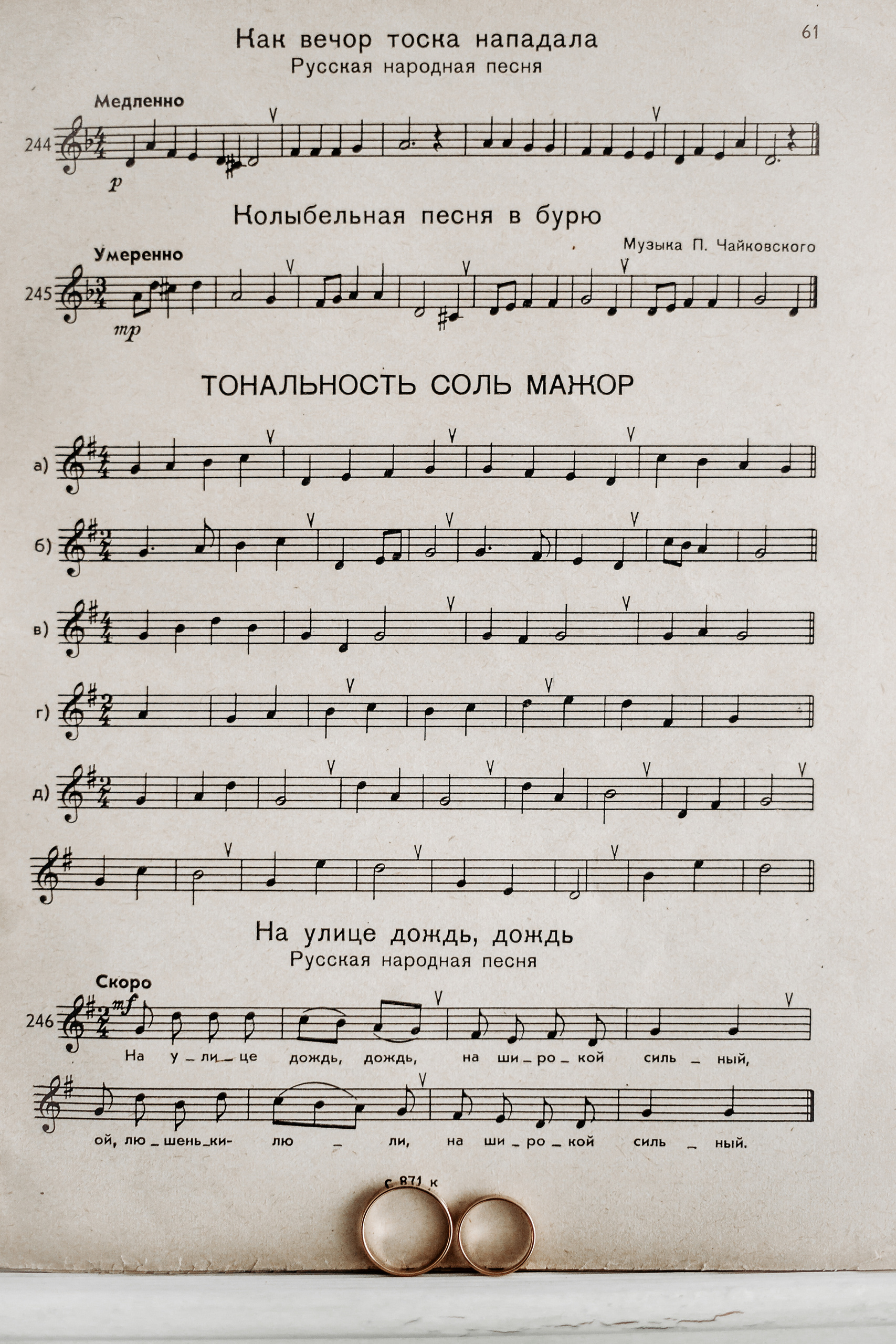 Песни на свадьбу. Свадебный фотограф в Витебске Дмитрий Кувшинов