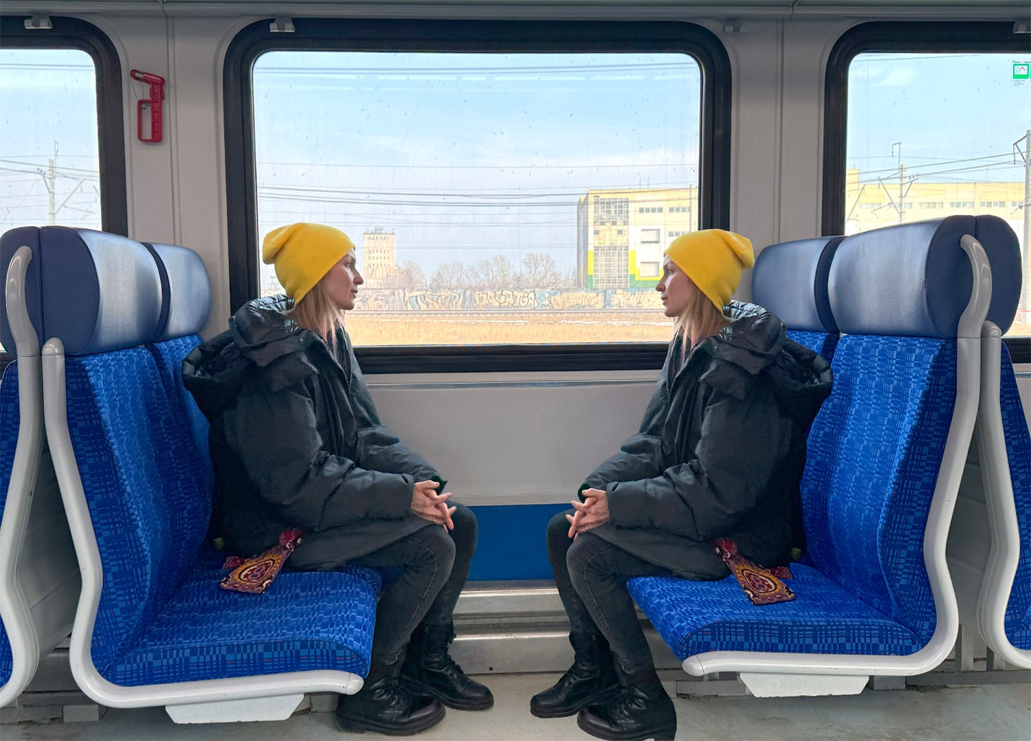 Стася Дмитриева «Москва-Петушки». Самоорганизация Низина