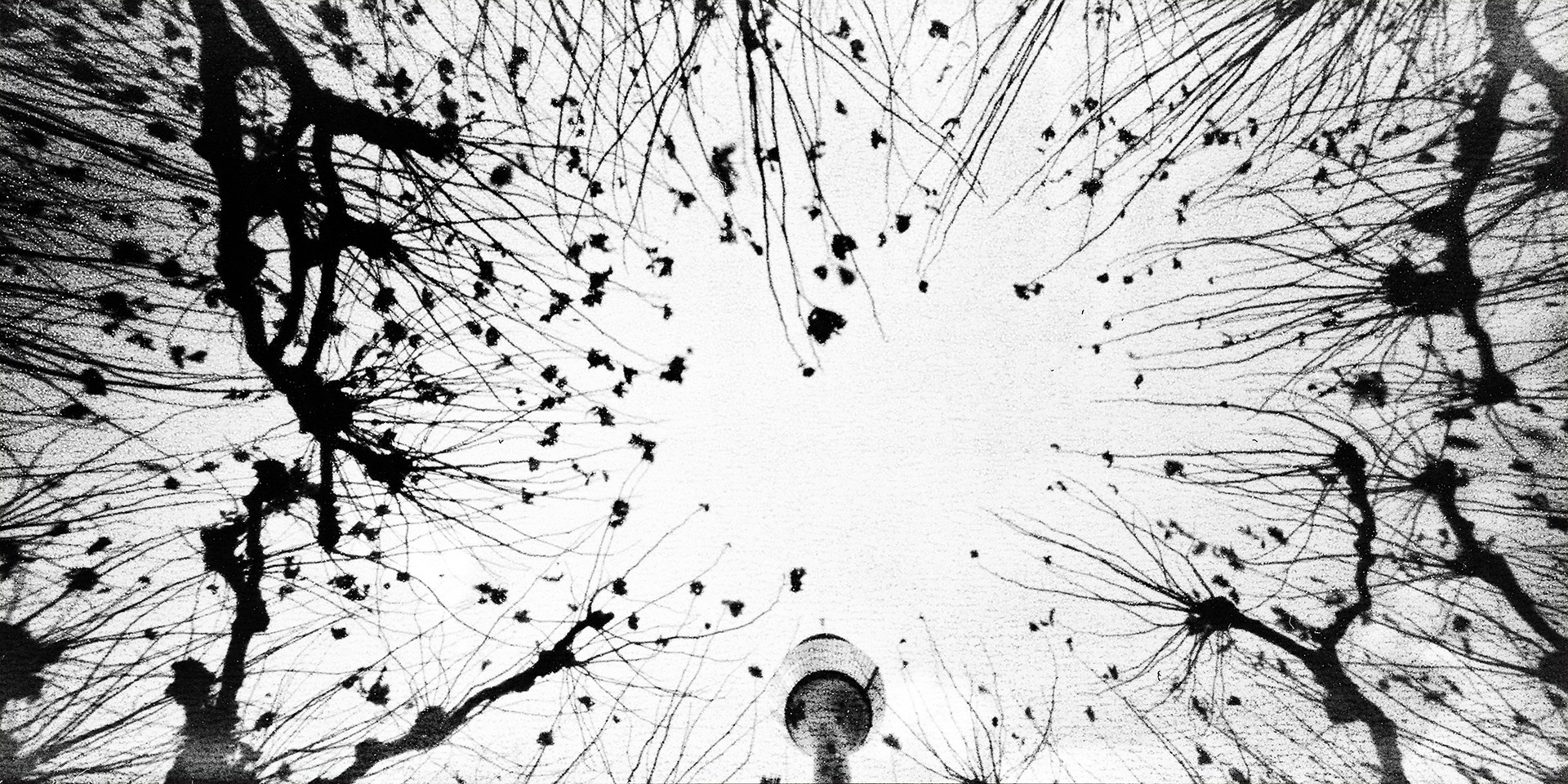 Pinhole. Vasiliy Riabovol — Fine Art Photographer | Time, Space, and Silence