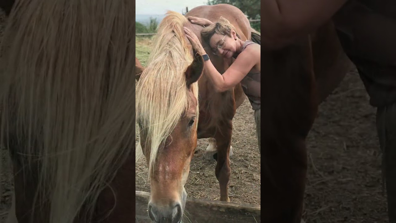 Свободная ипповенция. «Свет внутри»