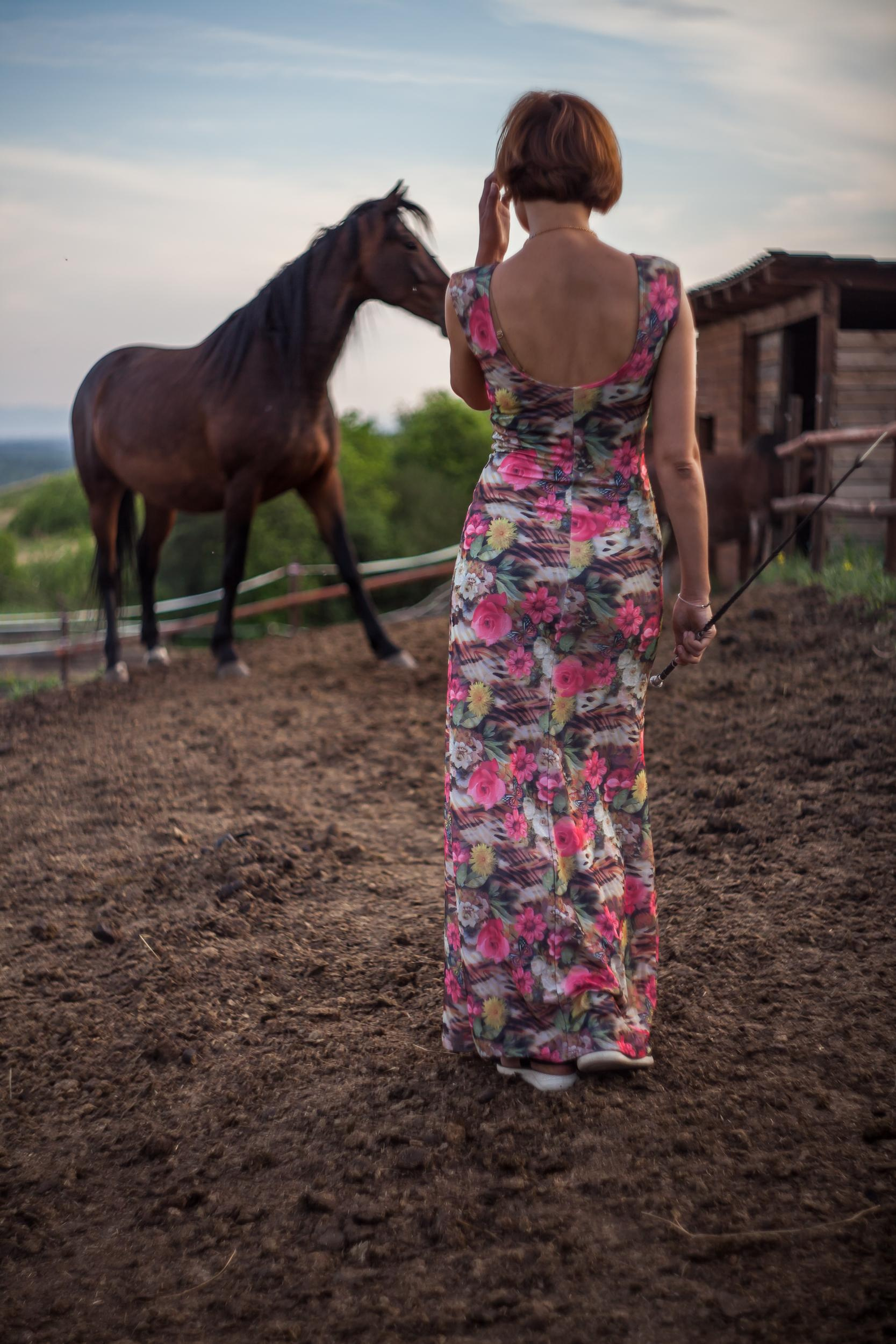 Свободная ипповенция. «Свет внутри»