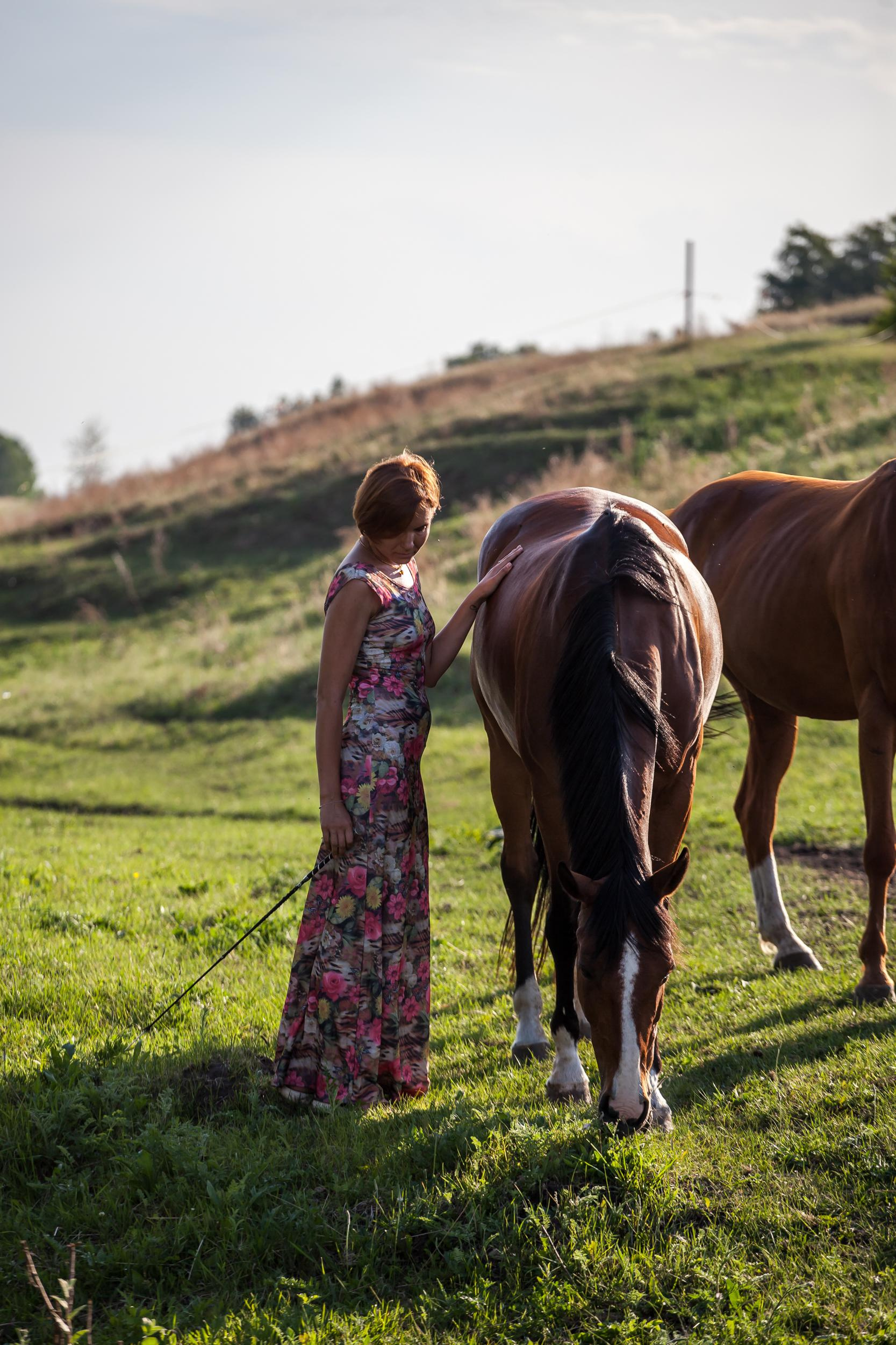 Свободная ипповенция. «Свет внутри»