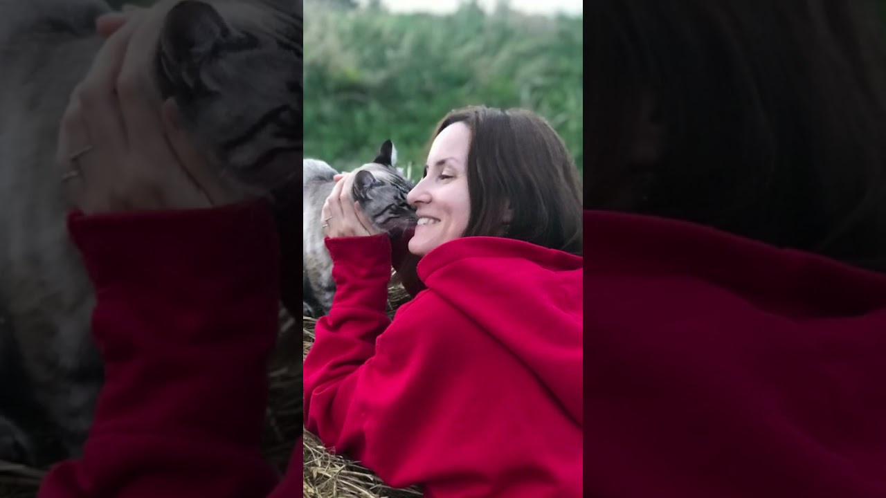 Свободная ипповенция. «Свет внутри»