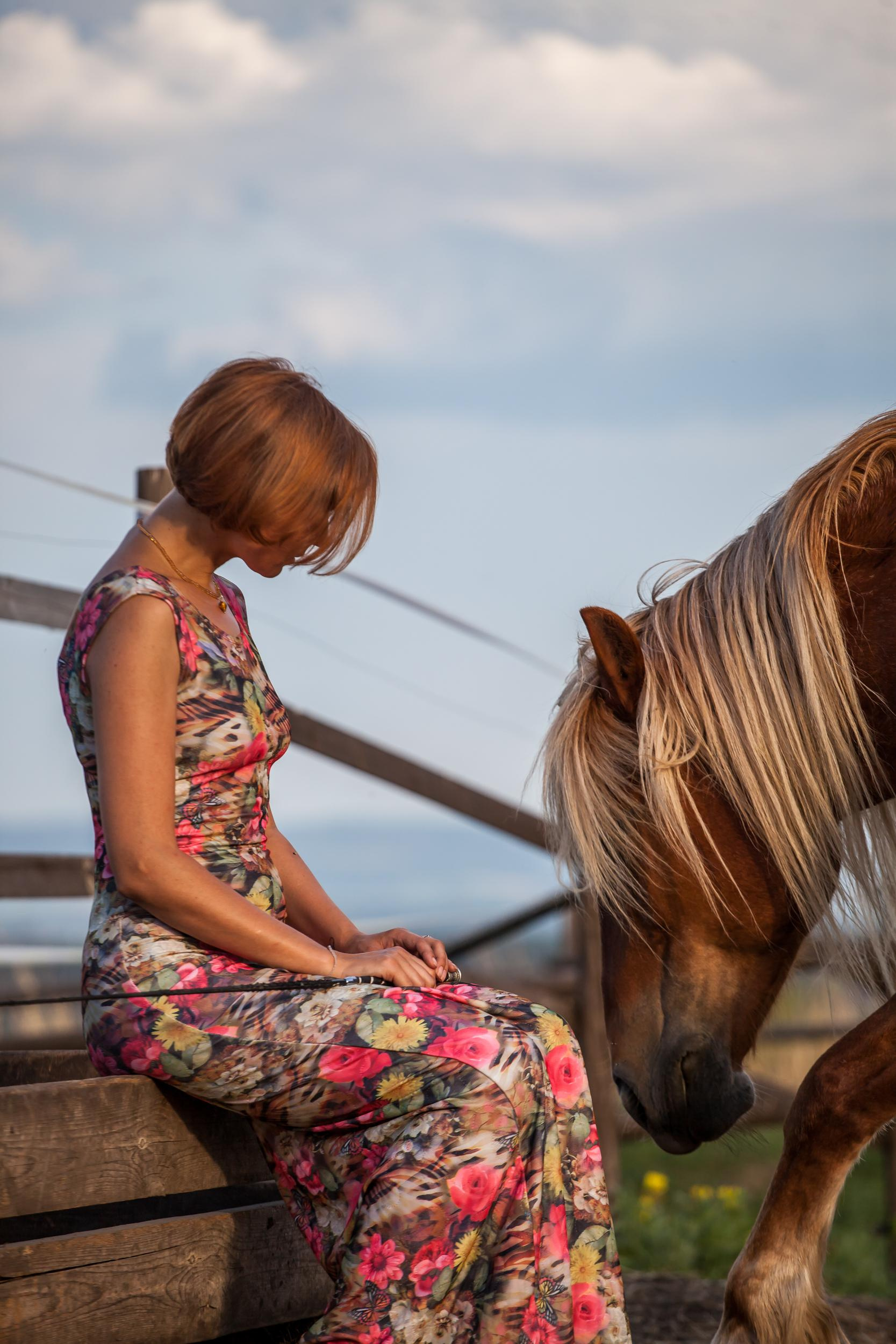 Свободная ипповенция. «Свет внутри»