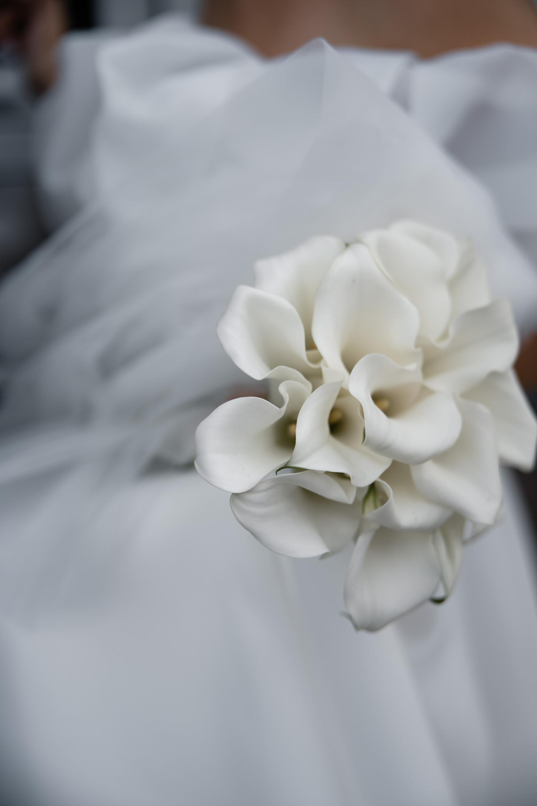 Екатерина & Александр. Yura Rush Свадебный фотограф Тюмень