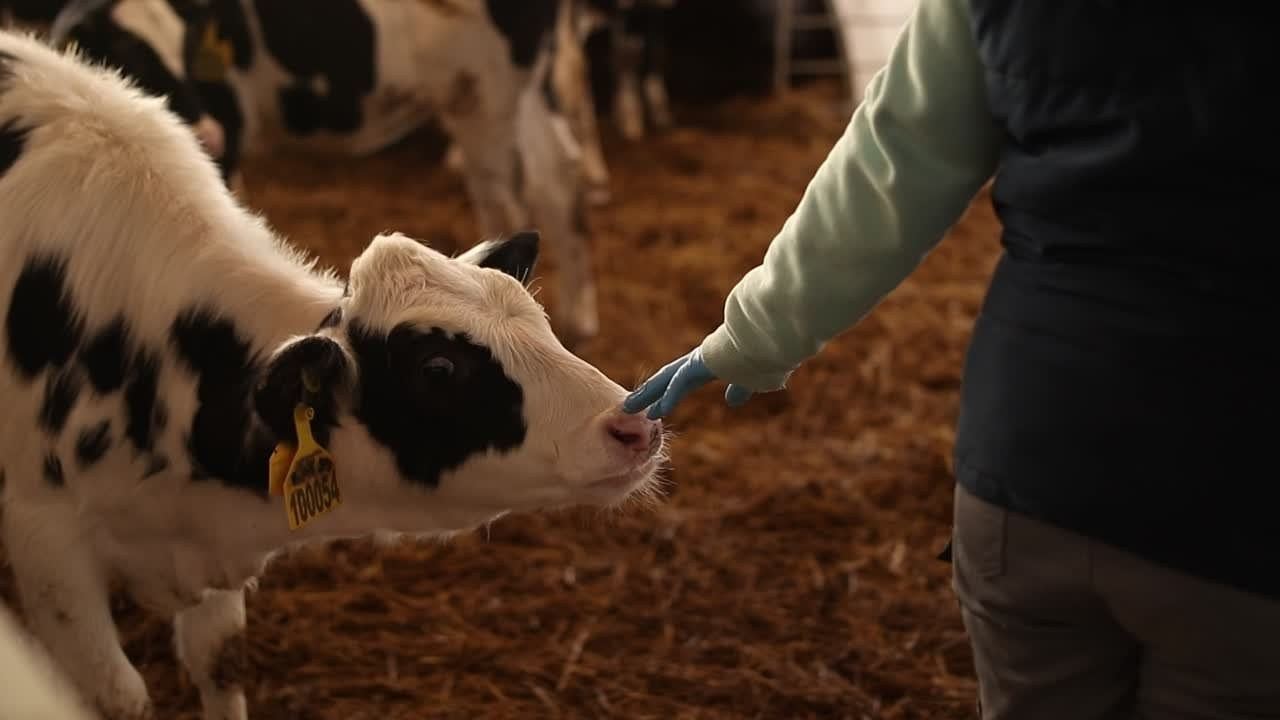 Видео. Фотограф в Кашине Калязине Кесовой Горе. Евгений Копайсов | официальный сайт