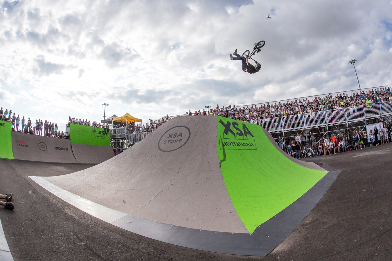 Random photo roulette. Bivol images