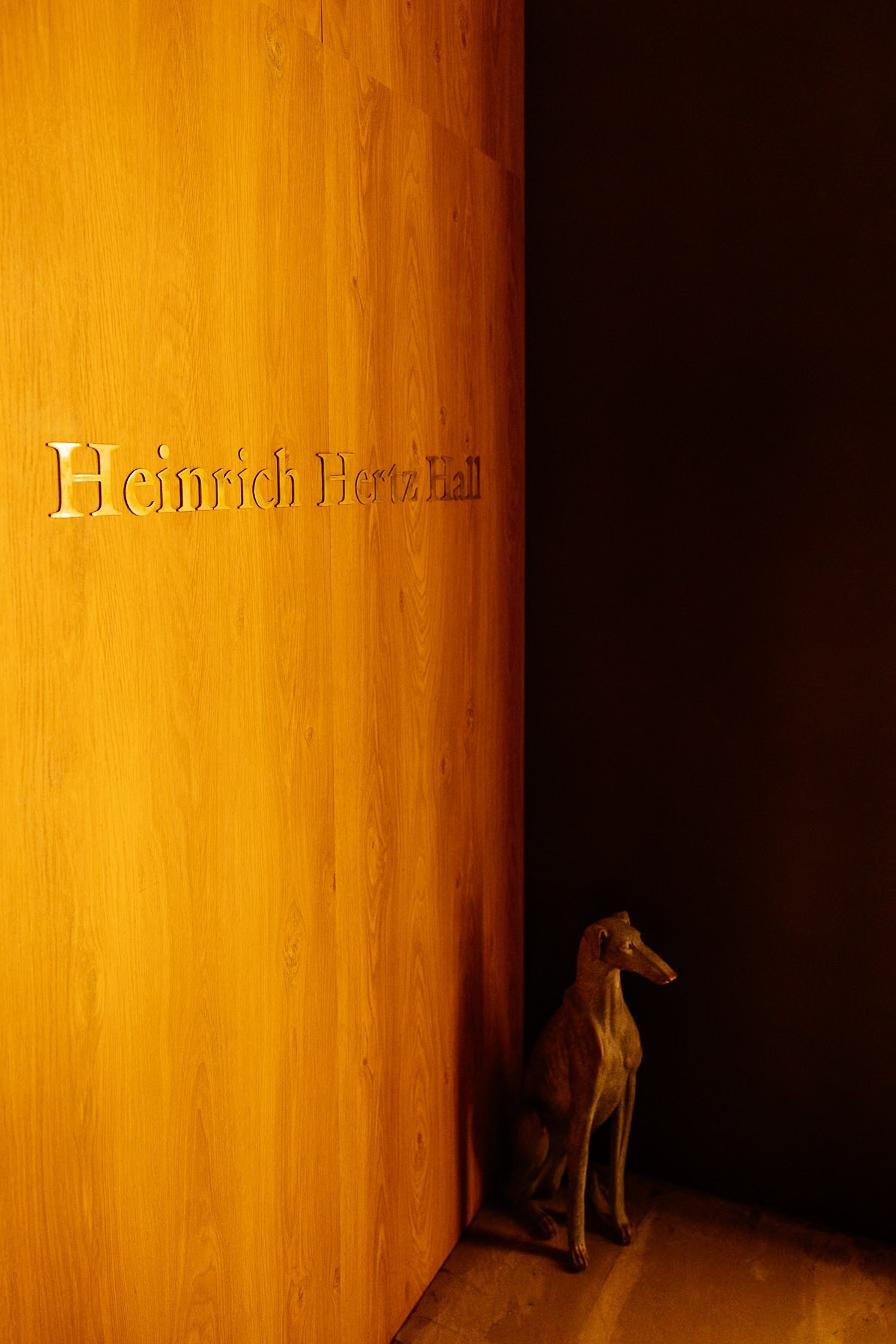 РЕПОРТАЖНЫЕ СЪЕМКИ. Александр Ченченко ака Саша Че. Свадебный, репортажный и портретный фотограф. Москва. Россия. Весь мир