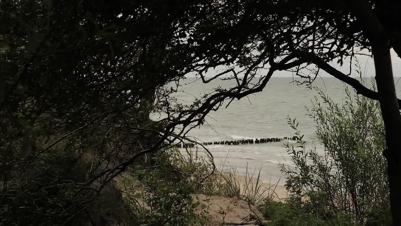 Commercial. Видеосъемка Калининград. Видеограф Фролов Сергей