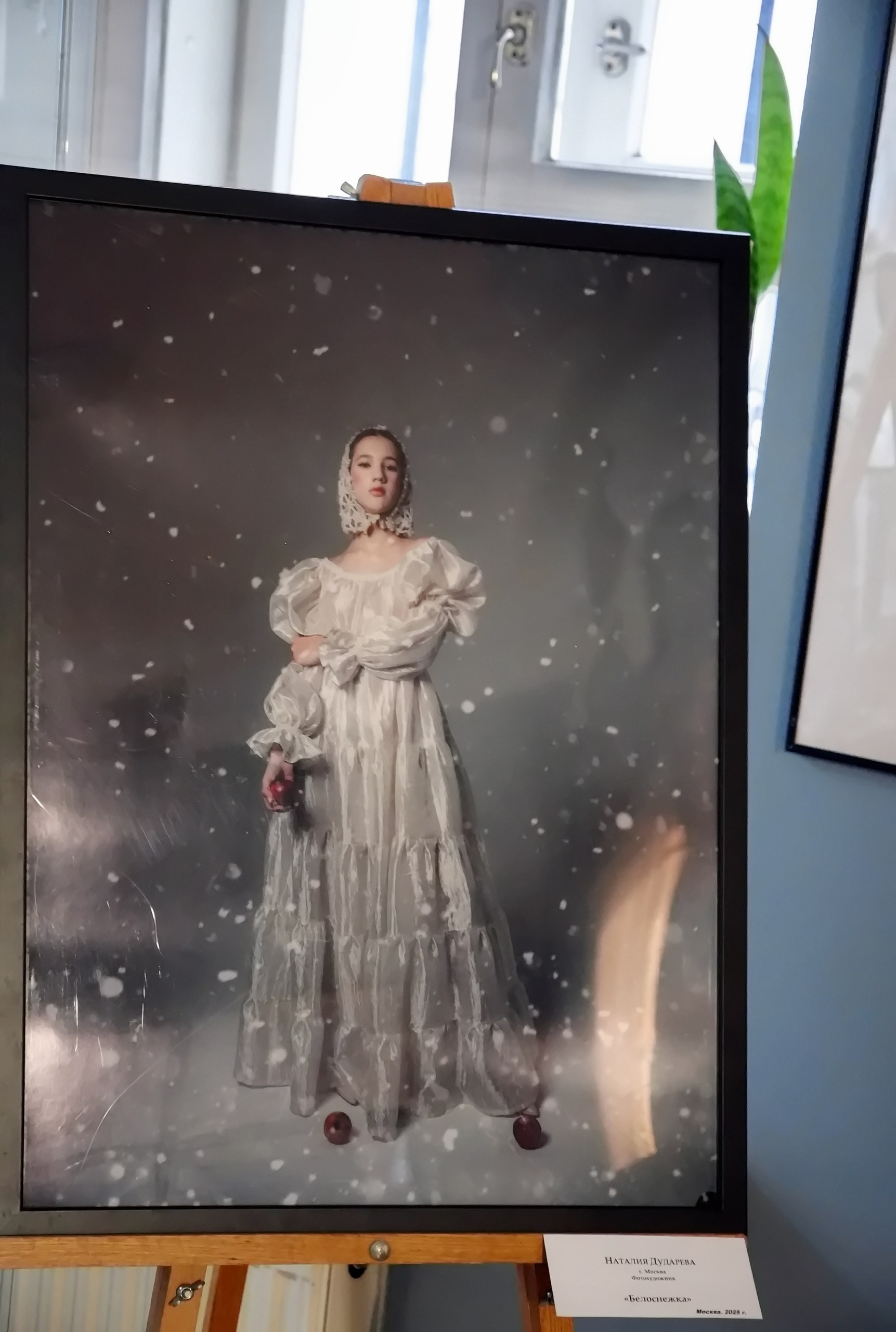 Выставка Зима перезагрузка. Дударева Наталия фотограф Москва