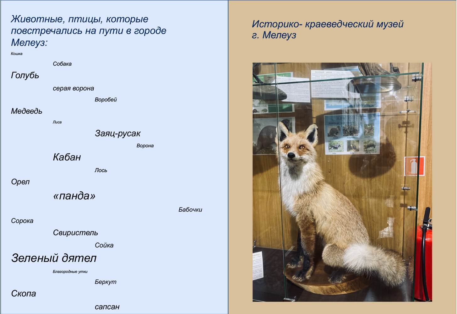 Маргарита Хатмуллина — Путешествие вдоль реки Белая