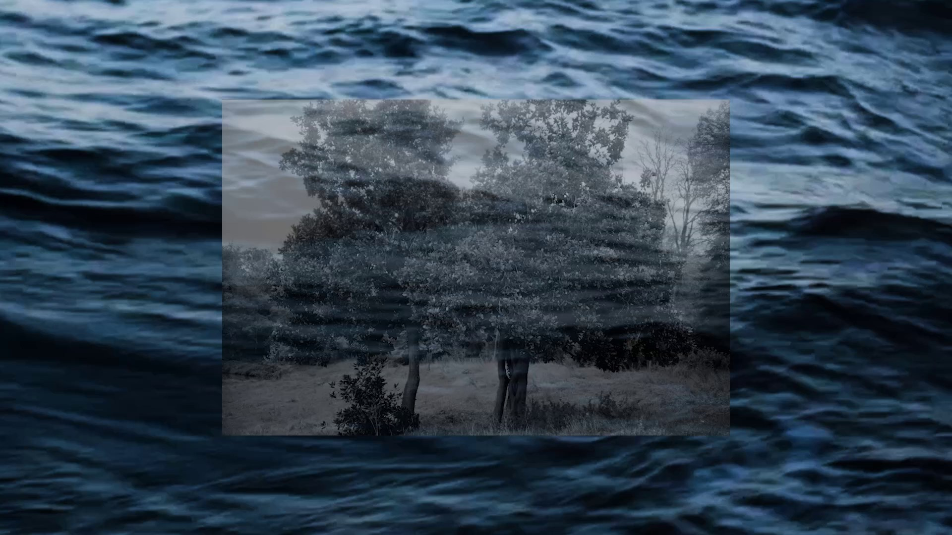 Образовательная программа и встречи с экспертами. Elena Anosova is an award-winning visual artist