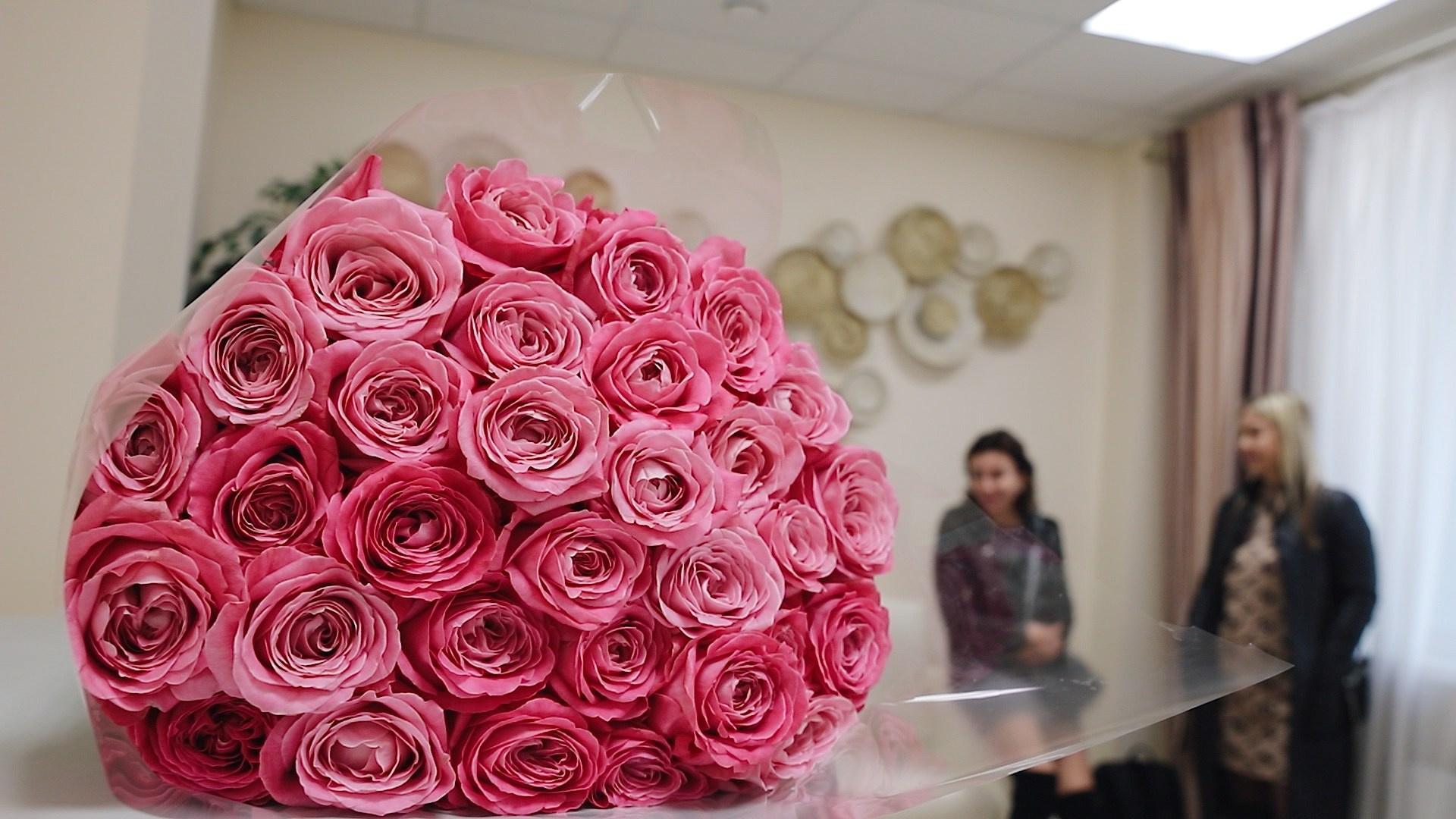 Выписка. Видеосъёмка праздников в Краснодаре