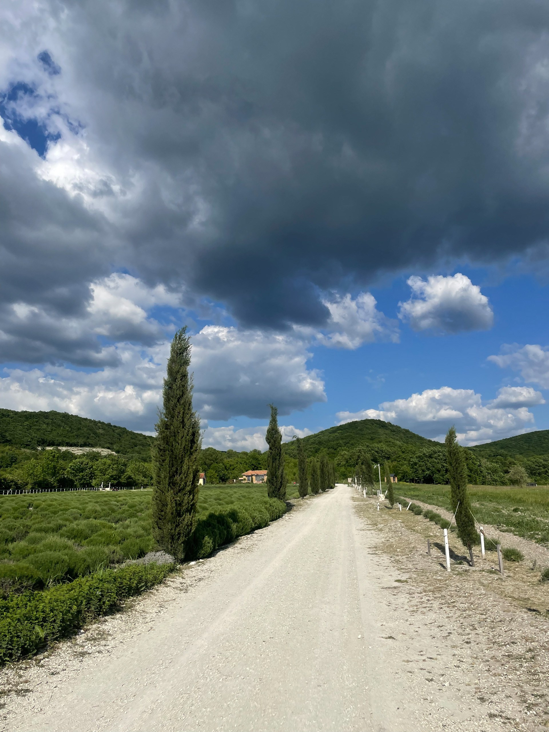 Локации в городе Анапа для семейной (лове стори и индивидуальной)съемки. Фотограф и Видеограф Анапа, Новороссийск, Краснодар. Алина и Женя
