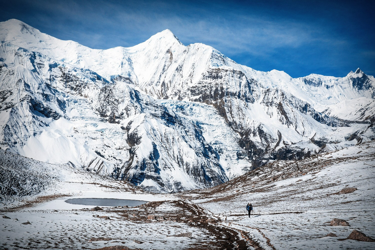Дхаулагири_2026. Клуб путешествий HimalTrex Горные туры в Гималаи Непал