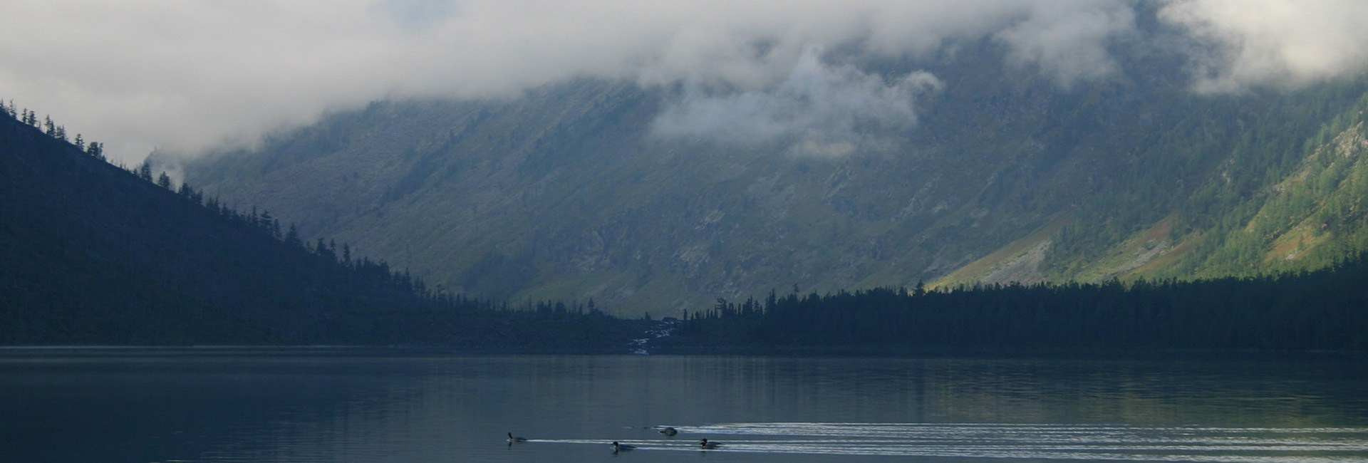Клуб Петербургских любителей фотографии