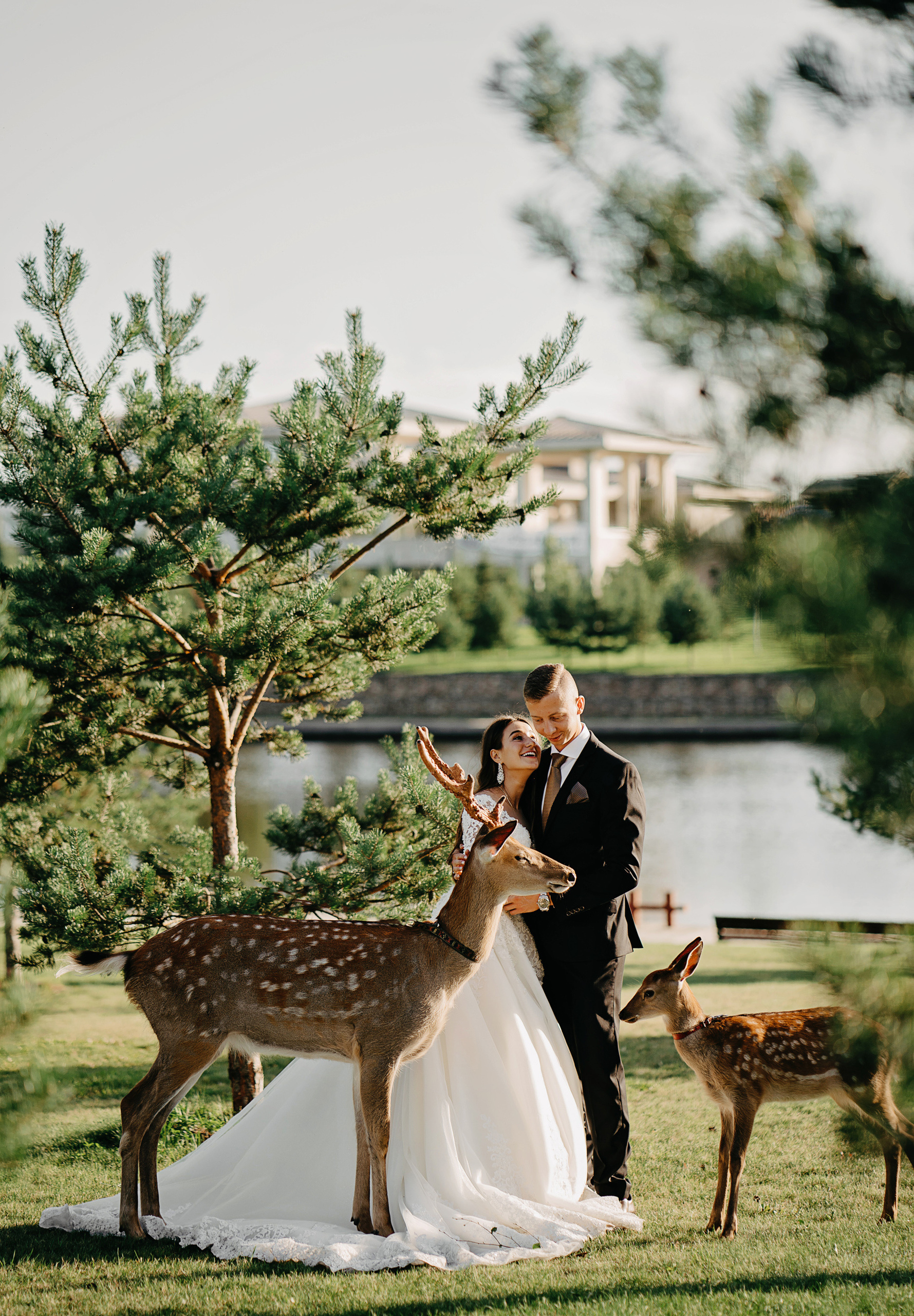 Свадебный фотограф и видеограф Дмитрий Горяченков