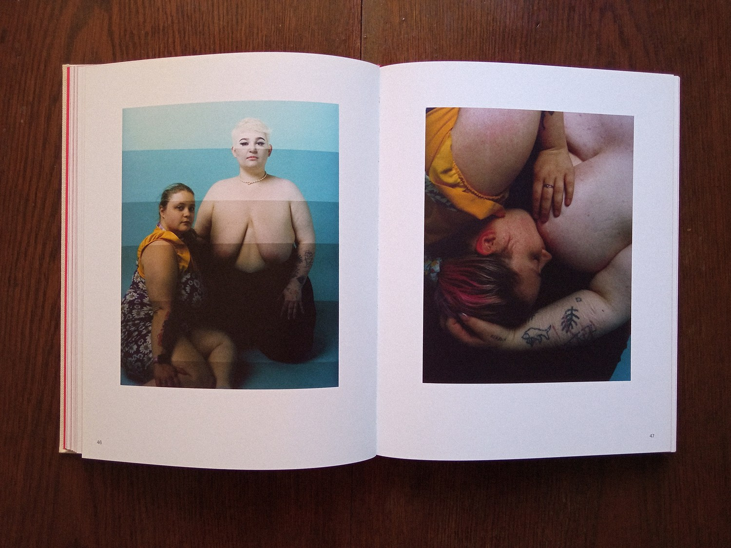 Книга «A perfect sentence» Оливера Чанарина. Private image