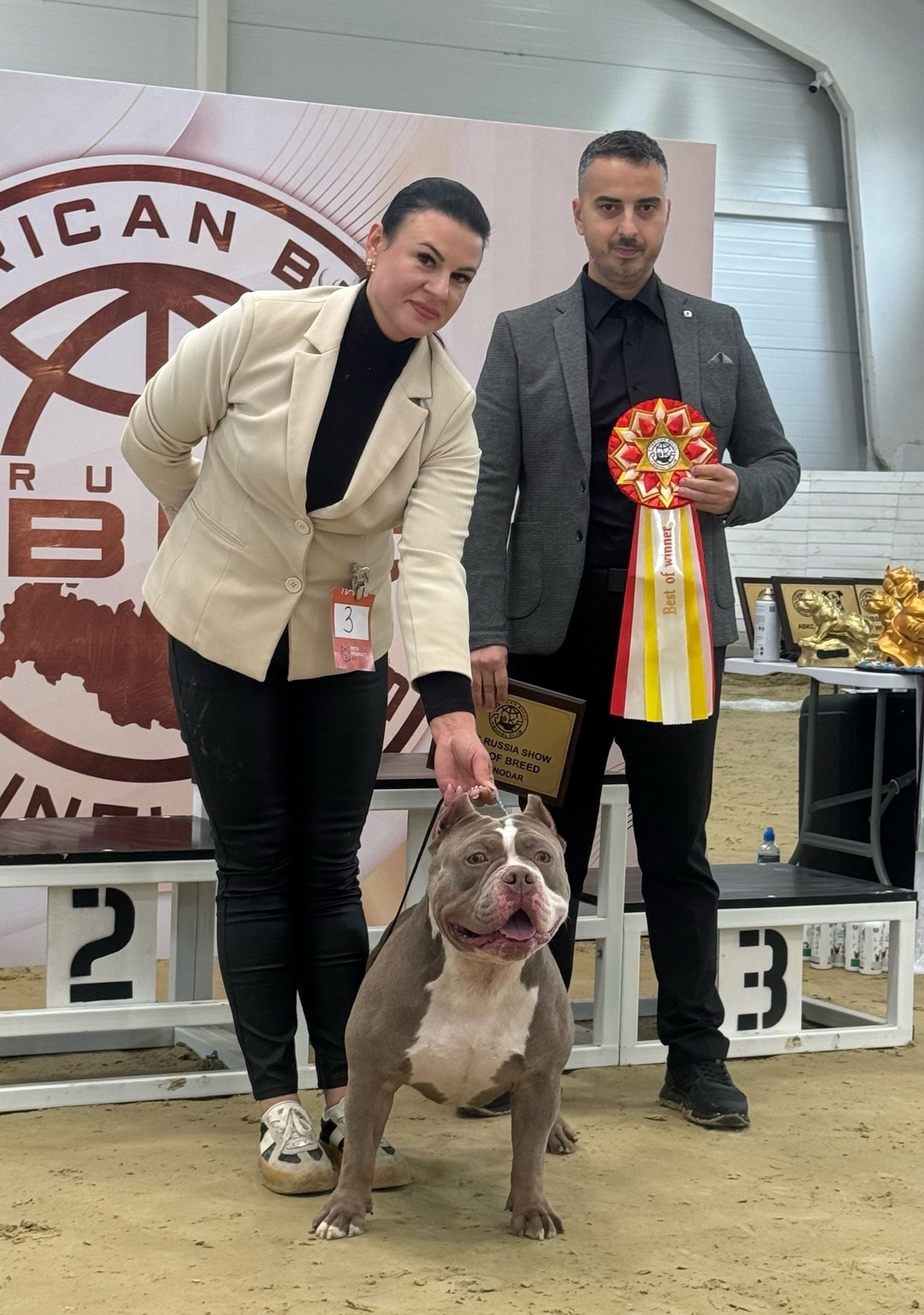 победитель выставки American Bully