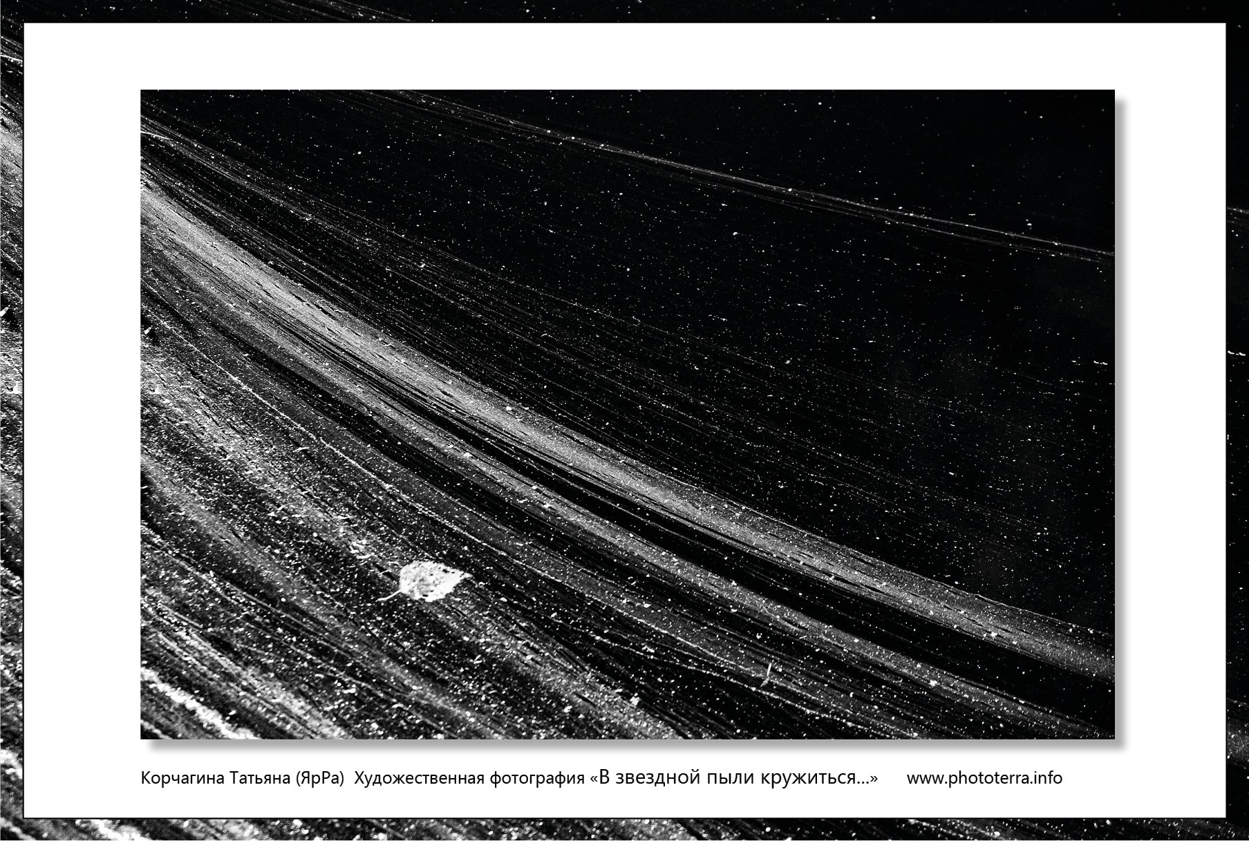 Арт & поэзия. Татьяна Корчагина. Фотограф, художник. Обучение фотографии