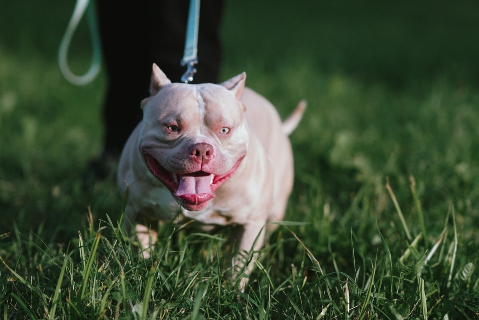 Индивидуальная съемка. Northerndaria Фотограф & Видеограф