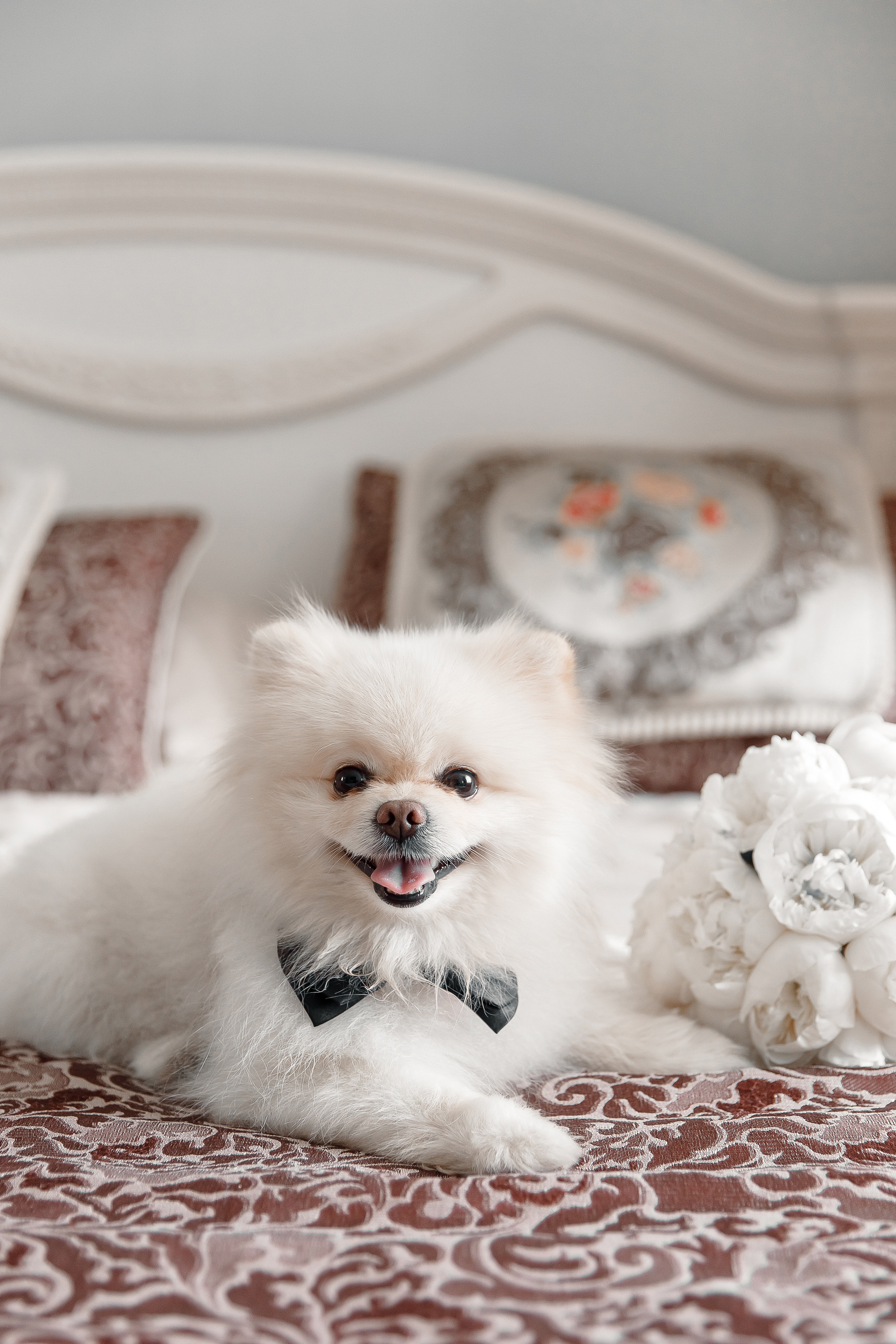 Валерия и Арсен. Свадебный и портретный фотограф Раменское Москва Иван Чионов