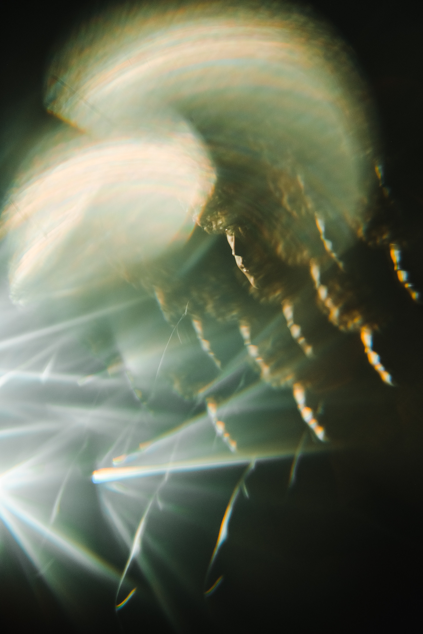 классическая студия и мальчик