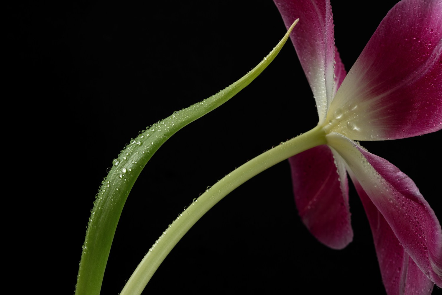 About me. Author’s fine art prints with international delivery