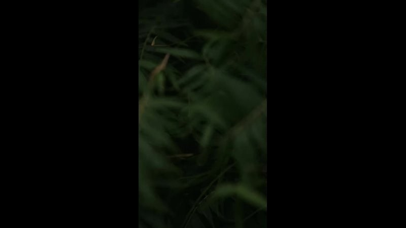 Видео. Каплицкая Любовь — фотограф Тверь