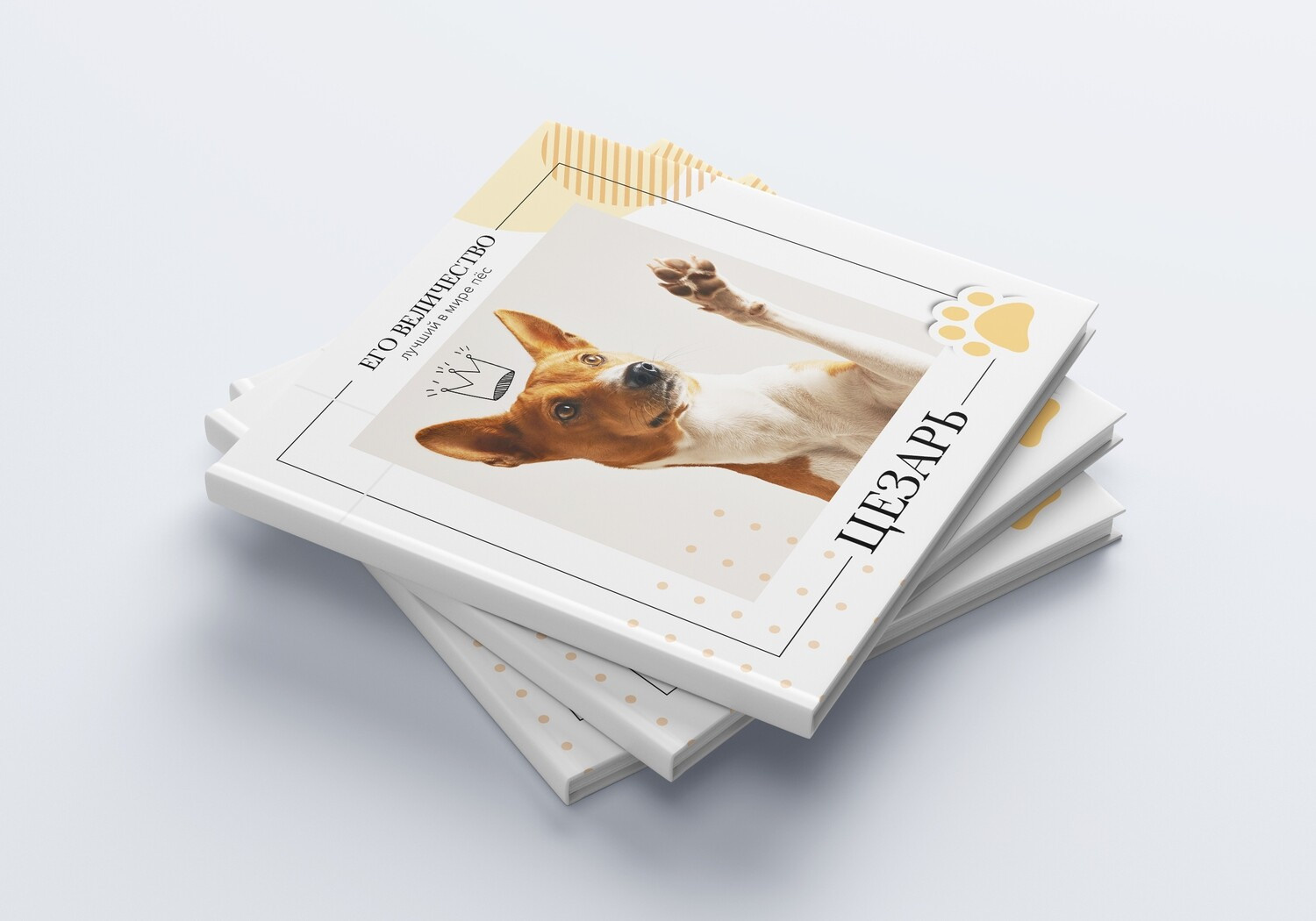 Семейные/Детские/Свадебные. Свадебный и семейный фотограф/видеограф в Краснодаре Наталья Осинская