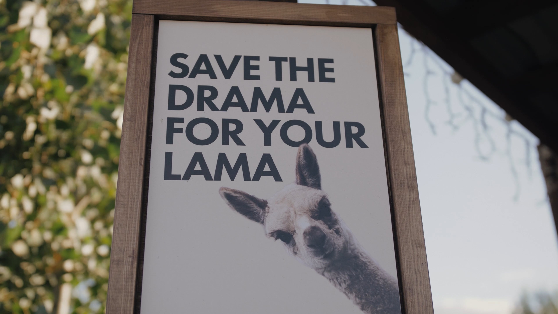 Риелтор31.рф. Видеограф Турчин Денис