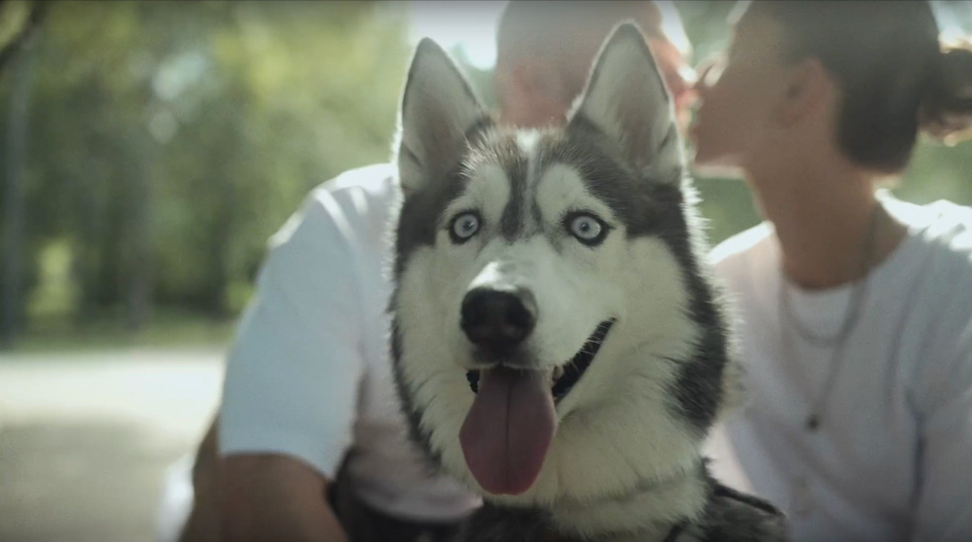 Фильмы. Видеограф Лёша Мартынов