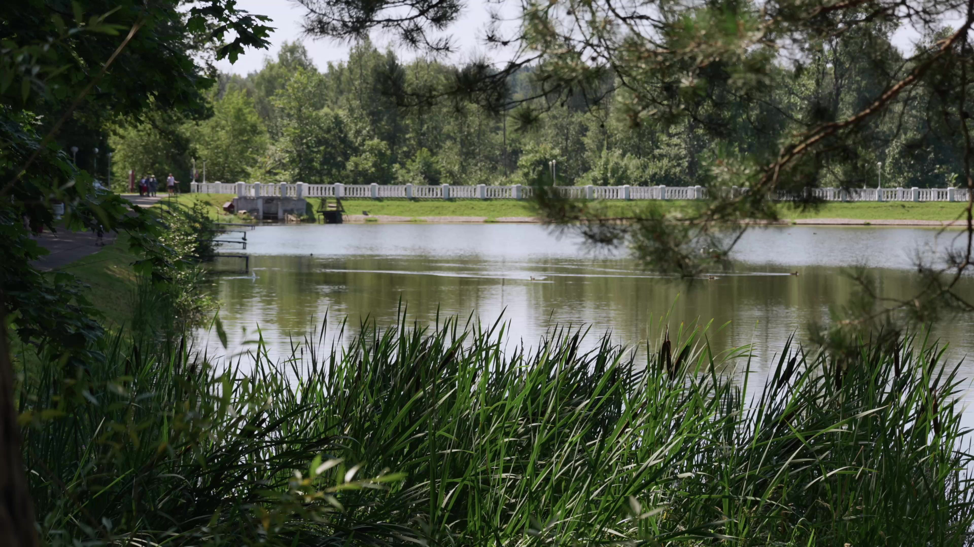 ВИДЕО. Свадебный видеограф Шаталов Владимир