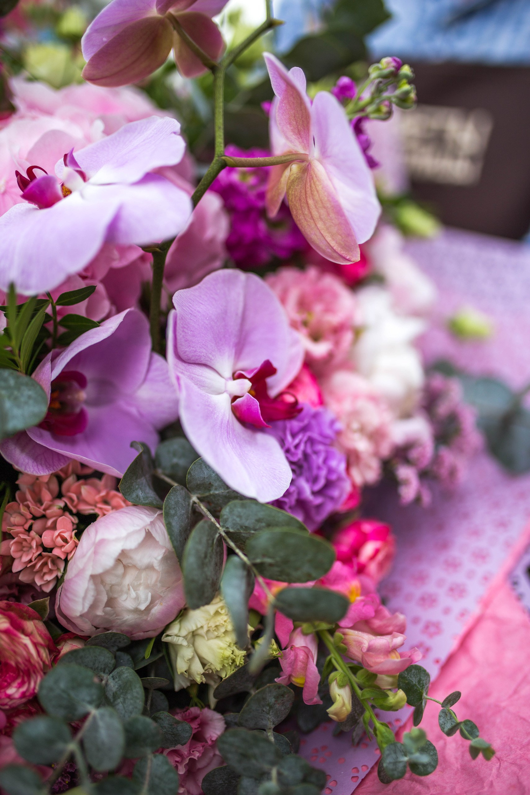 Бренды. Елена Бордо | Фотограф Москва