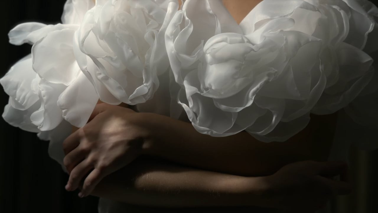 CLIPS. Finogenov Video