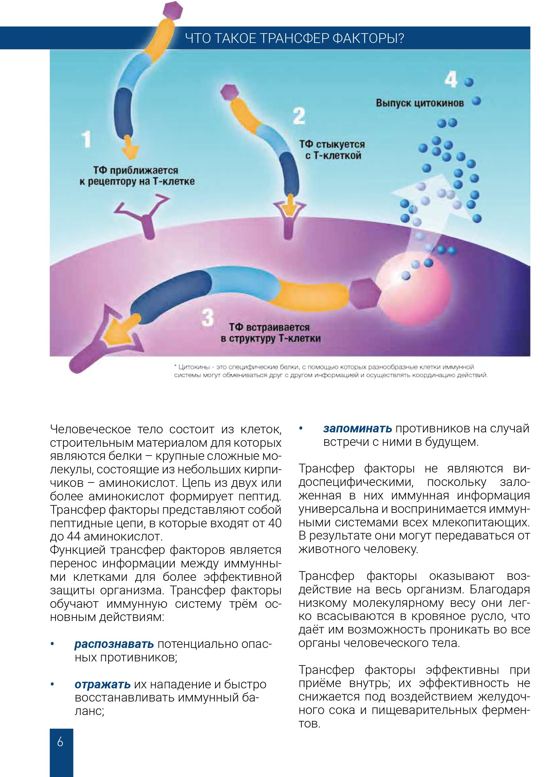 Что такое трансфер факторы 4Life
