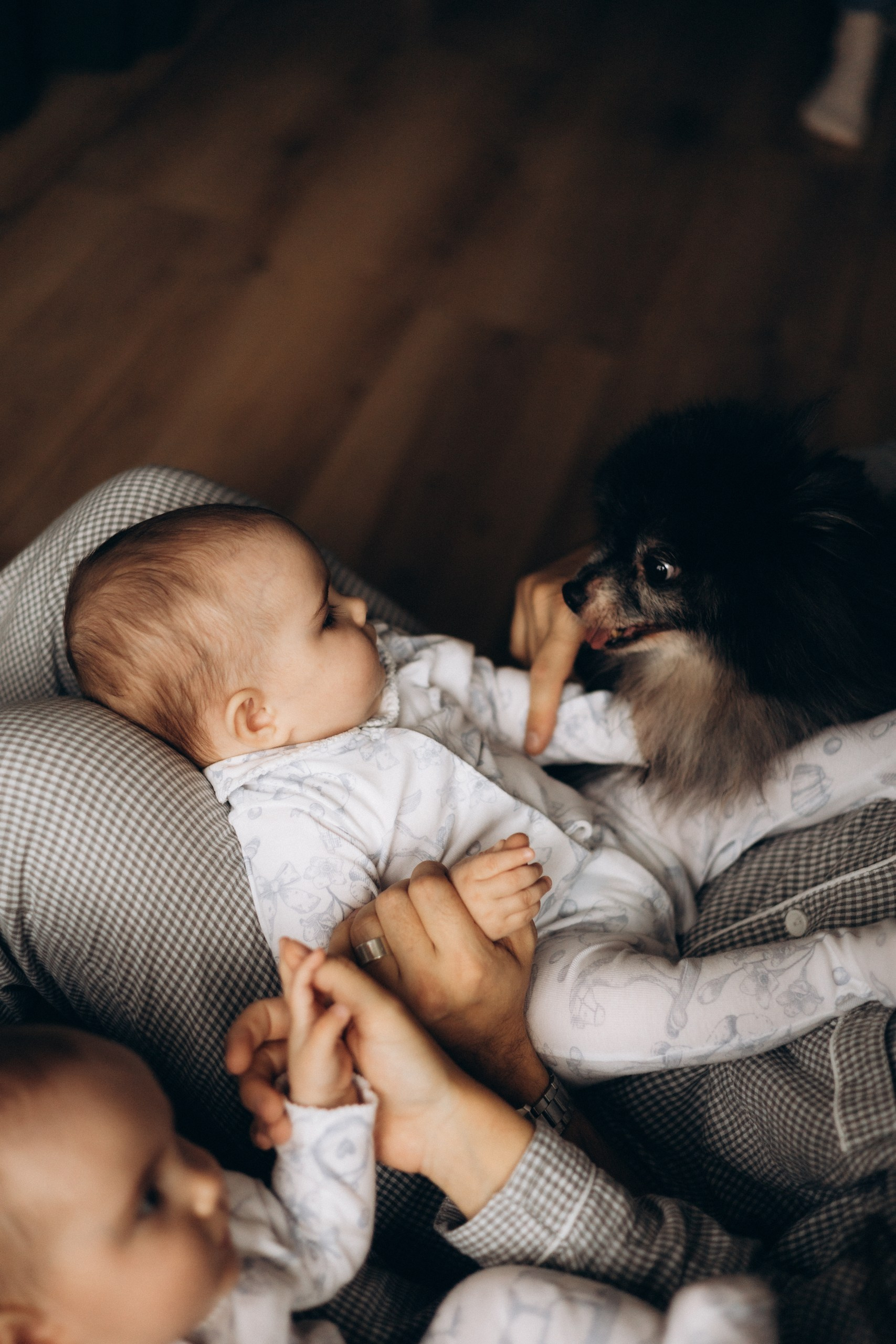 Обучение. Семейный фотограф в Ижевске Даша Денисова