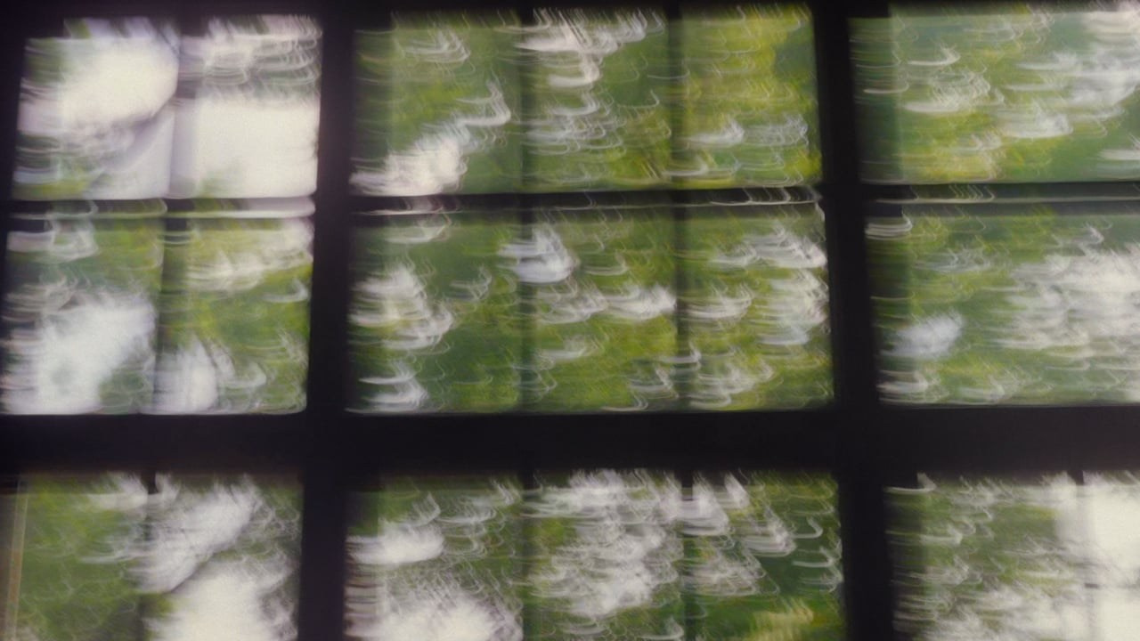 Наталья и Даниил. Агата Акварель видеограф Сочи Краснодар